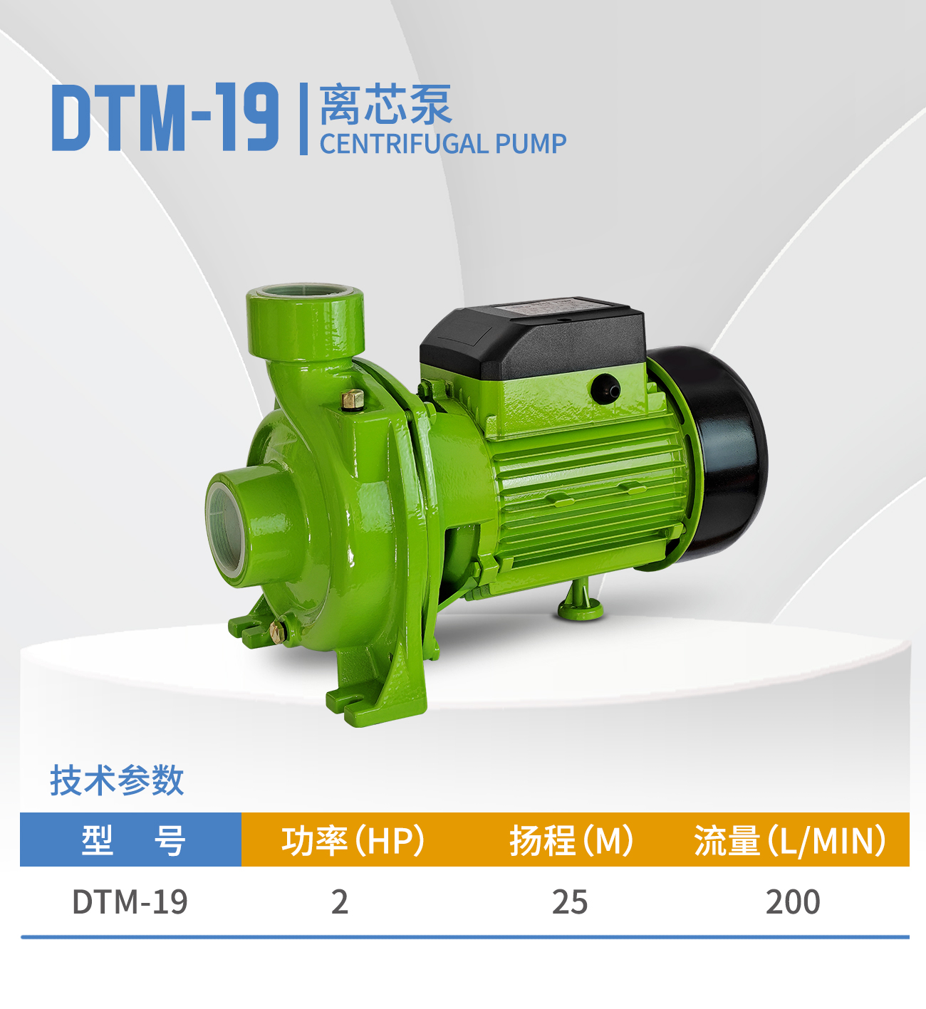 DTM-19
